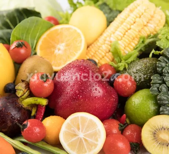 Melons, fruits and vegetables